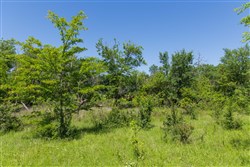 Harmony Hills Tract 23