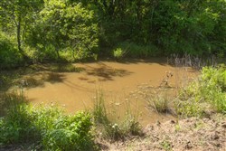 Harmony Hills Tract 23