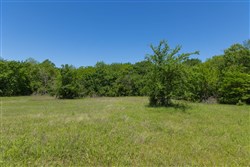 Harmony Hills Tract 23