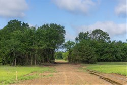 Harmony Hills Tract 25