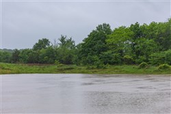 Harmony Hills Tract 25