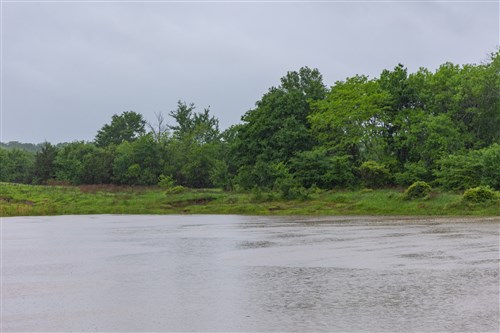 Harmony Hills Tract 25