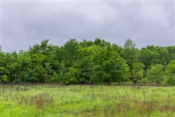 Harmony Hills Tract 25