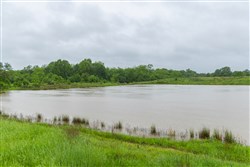 Harmony Hills Tract 25