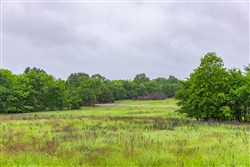 Harmony Hills Tract 25
