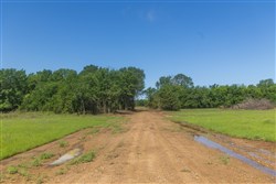 Harmony Hills Tract 26