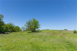 Harmony Hills Tract 26