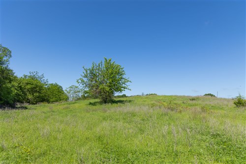 Harmony Hills Tract 26