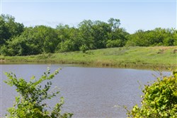 Harmony Hills Tract 26