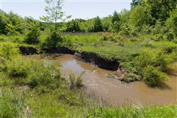 Harmony Hills Tract 26