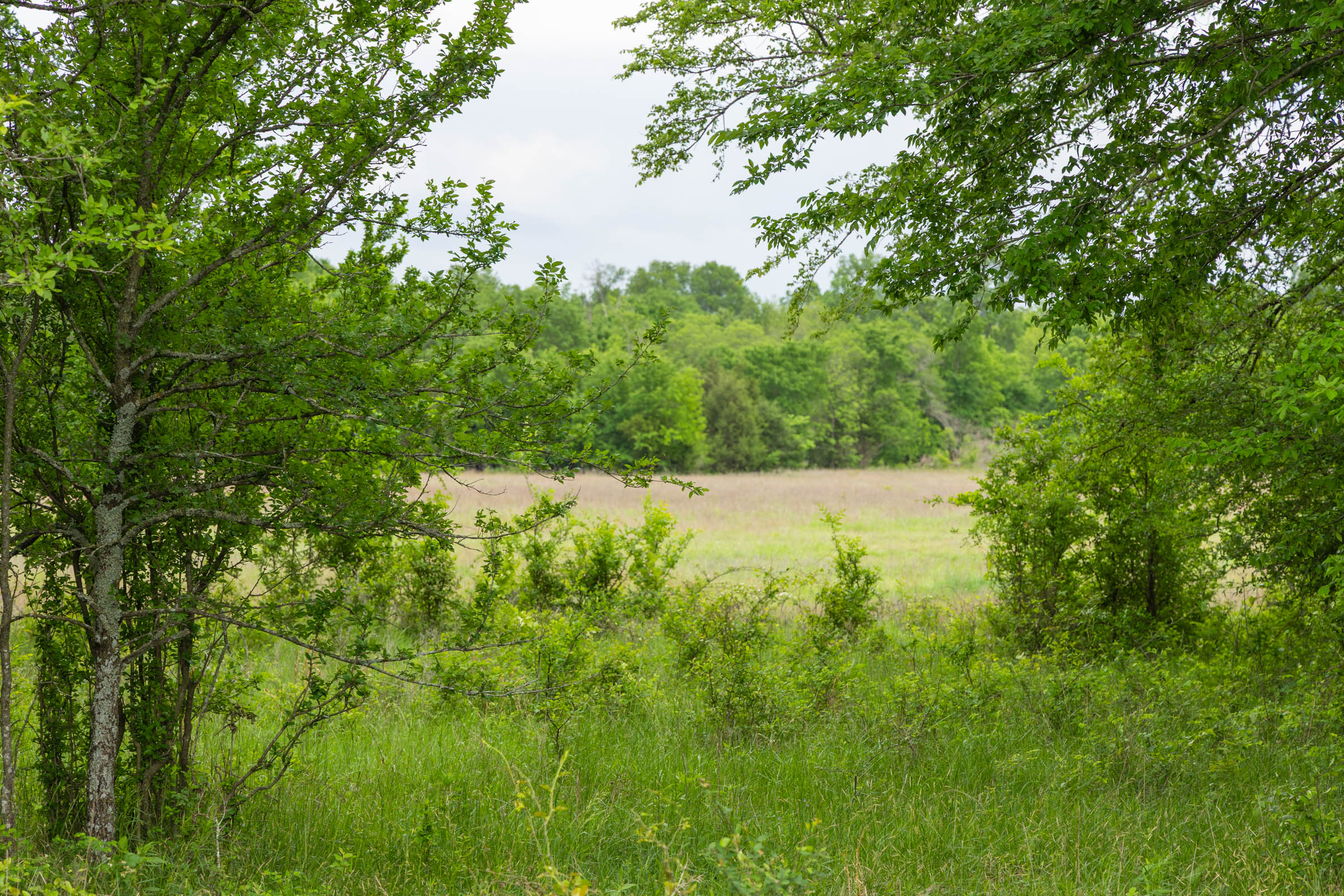 Tract 27 at Harmony Hills in Pittsburg County, Oklahoma