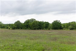 Harmony Hills Tract 28