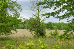 Harmony Hills Tract 28