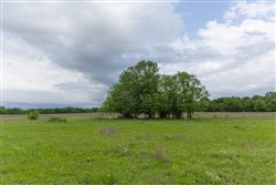 Harmony Hills Tract 29