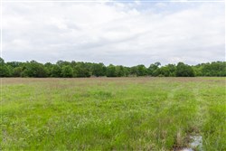 Harmony Hills Tract 29