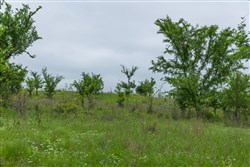 Harmony Hills Tract 3