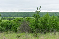 Harmony Hills Tract 3