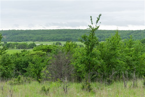 Harmony Hills Tract 3