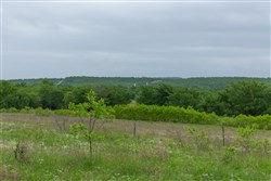 Harmony Hills Tract 3