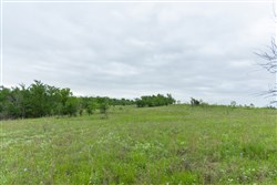 Harmony Hills Tract 3