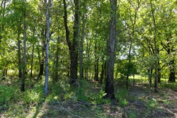 Harmony Hills Tract 30