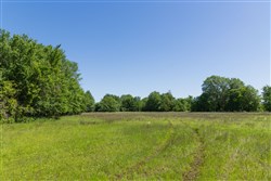 Harmony Hills Tract 32