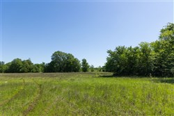 Harmony Hills Tract 32