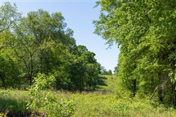 Harmony Hills Tract 32