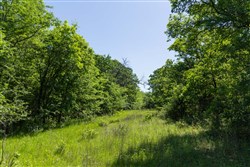 Harmony Hills Tract 34