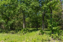 Harmony Hills Tract 34