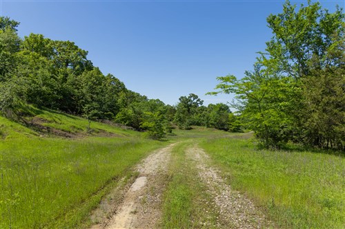 Harmony Hills Tract 35