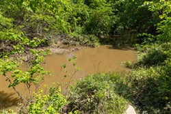 Harmony Hills Tract 35