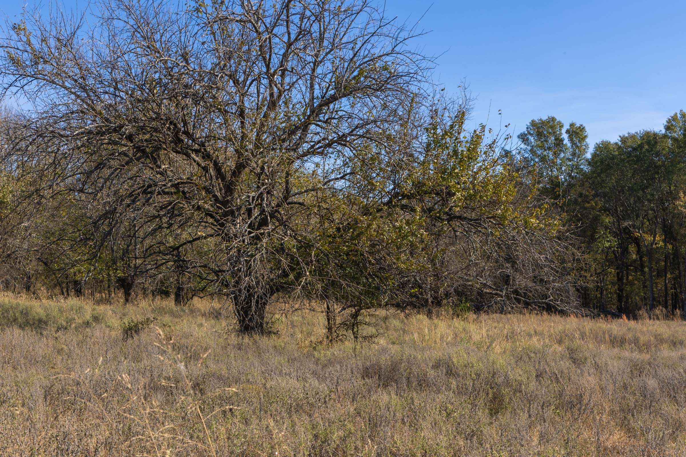 Tract 38 at Harmony Hills in Pittsburg County, Oklahoma