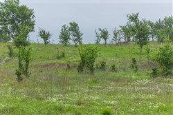 Harmony Hills Tract 4
