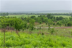 Harmony Hills Tract 4