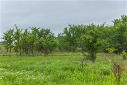 Harmony Hills Tract 4