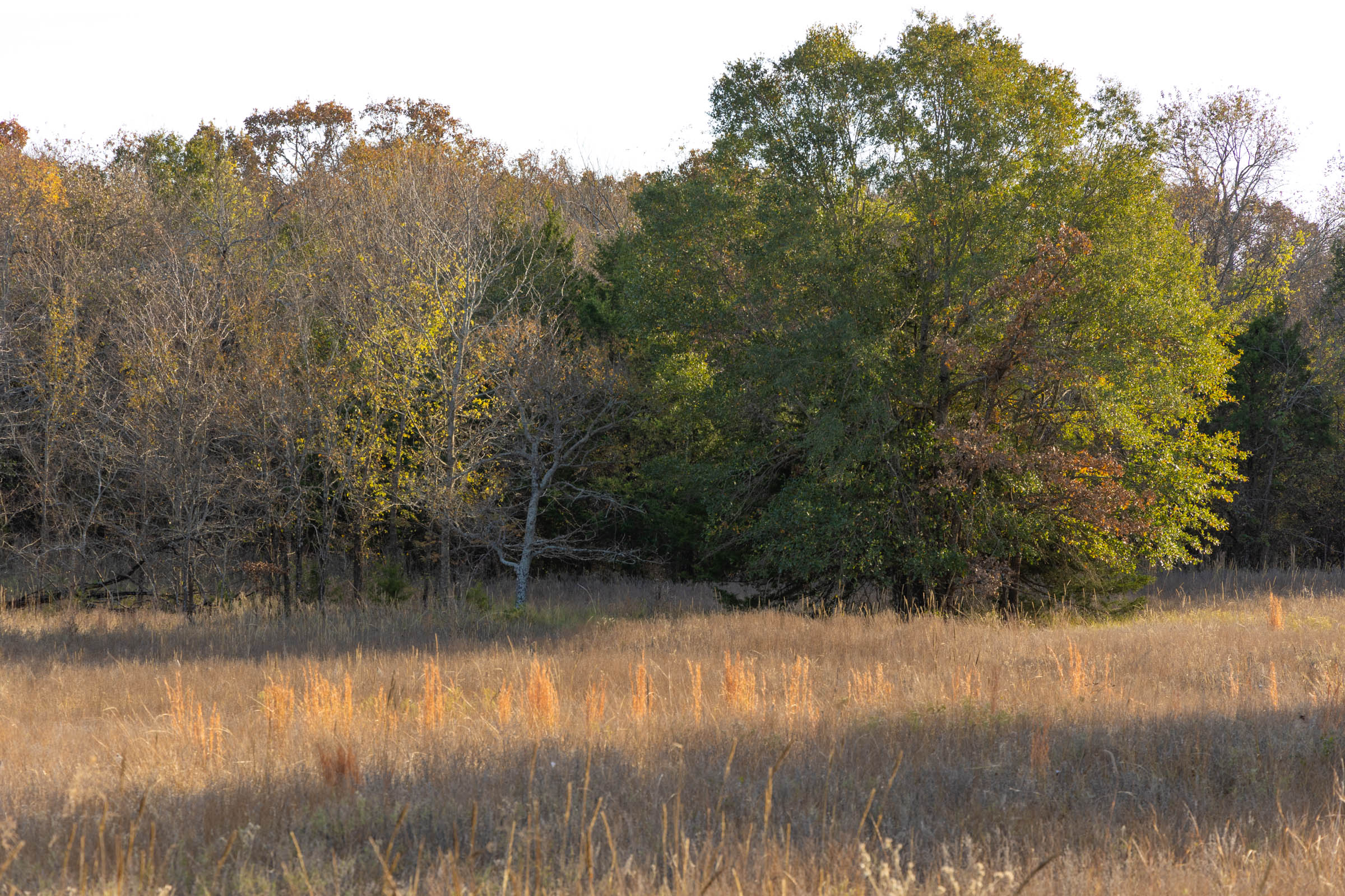 Tract 53 at Harmony Hills in Pittsburg County, Oklahoma