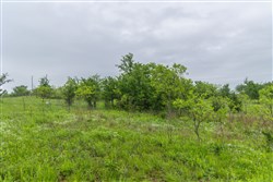 Harmony Hills Tract 6