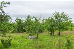 Harmony Hills Tract 7