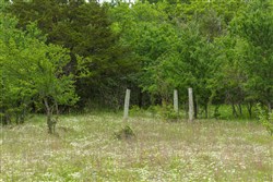 Harmony Hills Tract 8