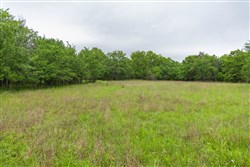 Harmony Hills Tract 8
