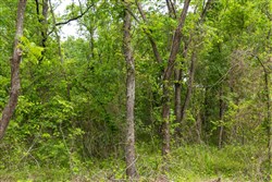 Harmony Hills Tract 9