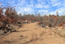 Indian Ridge Phase I Tract 5