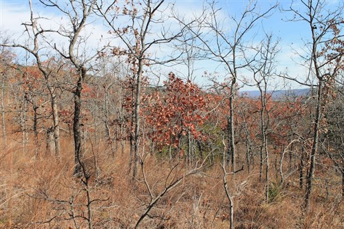 Indian Ridge Phase I Tract 5