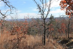 Indian Ridge Phase I Tract 5