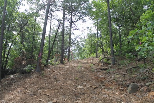 Indian Ridge Phase II Tract 40