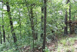 Indian Ridge Phase II Tract 40