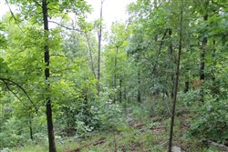 Indian Ridge Phase II Tract 40