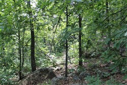 Indian Ridge Phase II Tract 40