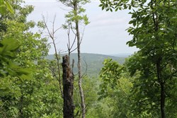 Indian Ridge Phase II Tract 40